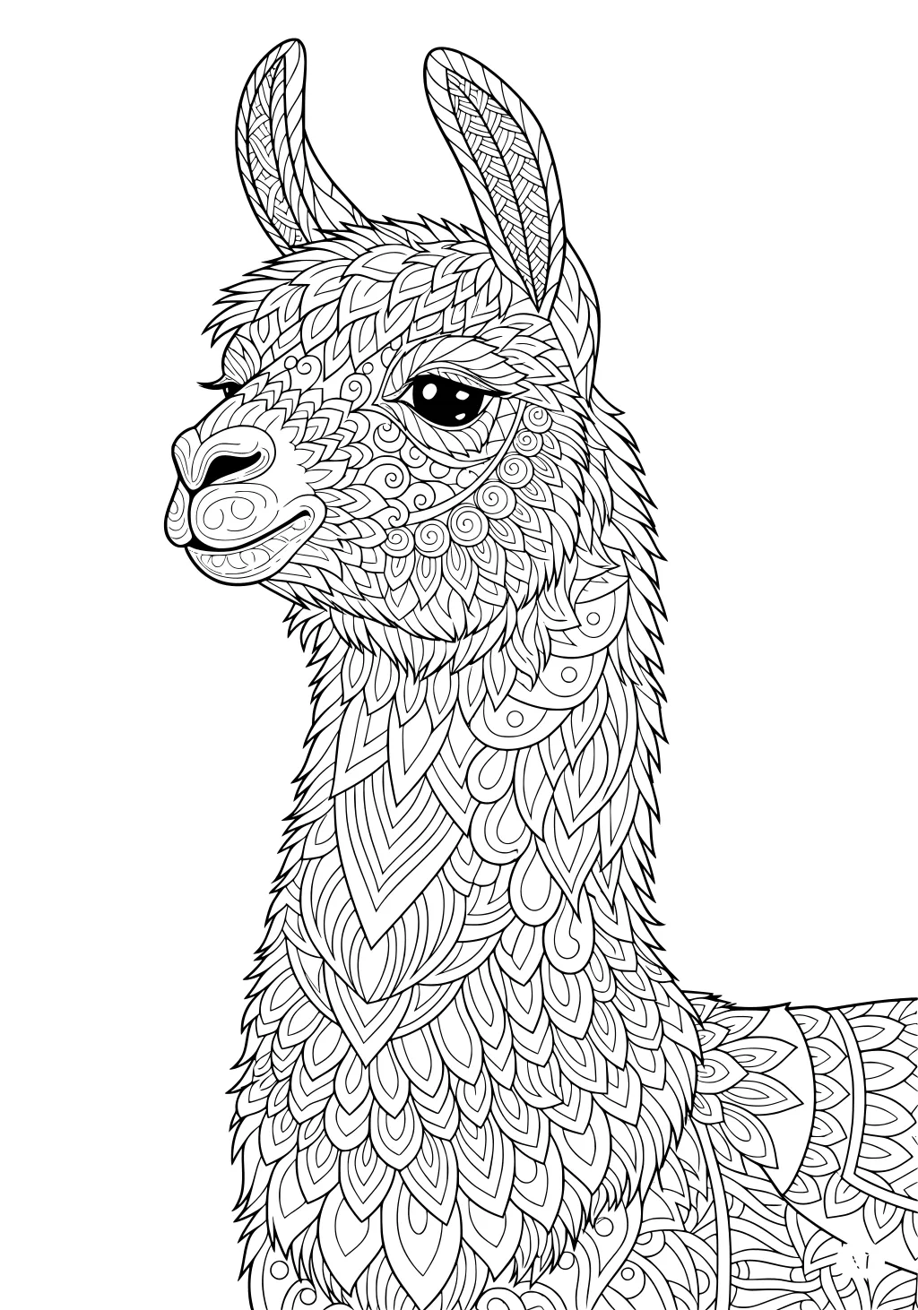 Llama with patterned fur and large eyes, decorated in swirling and leafy shapes, mandala-style black line drawing.