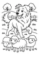 Free Dog Coloring Page - Fluffy Farm Dog Herding Sheep (Printable PDF)