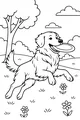 Free Dog Coloring Page - Fluffy Pup Fetching a Frisbee (Printable PDF)