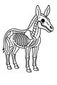 Free Donkey Coloring Page - Detailed Donkey Skeleton Anatomy (Printable PDF)