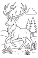 Free Elk Coloring Page - Big Antlers in a Quiet Forest (Printable PDF)