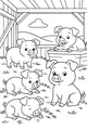 Free Piglet Coloring Page - Four Playful Pigs in Barnyard (Printable PDF)