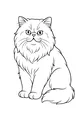 Free Cat Coloring Page - Fluffy Long-Haired Pet Sitting Upright (Printable PDF)