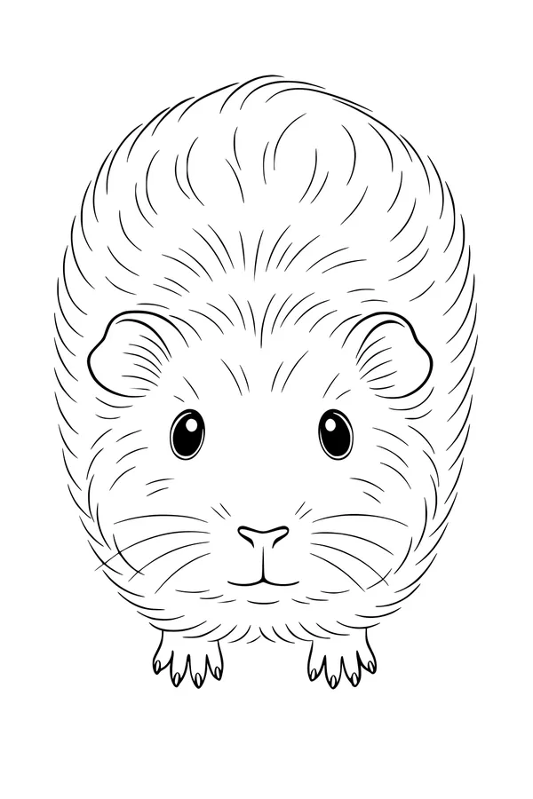 Free Guinea Pig Coloring Page - Fluffy Pet Facing Forward (Printable PDF)