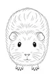 Free Guinea Pig Coloring Page - Fluffy Pet Facing Forward (Printable PDF)