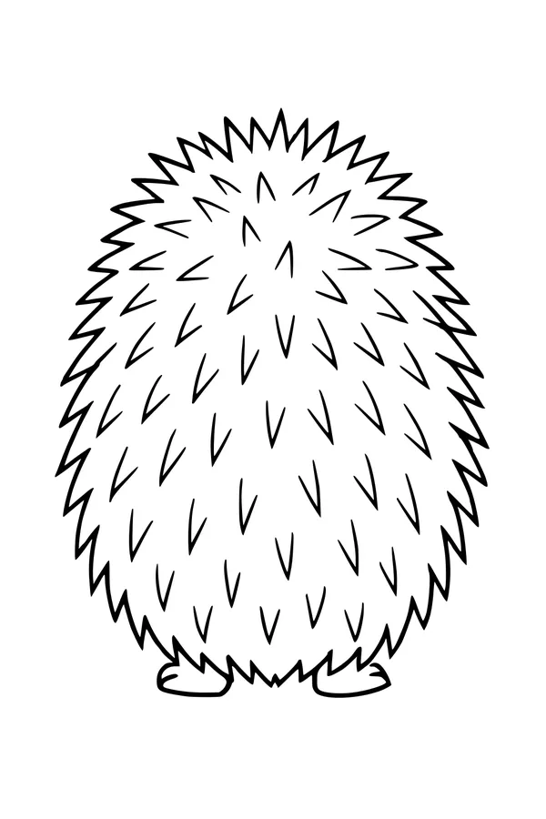 Free Hedgehog Coloring Page - Round Spiky Back View (Printable PDF)