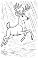 Free Deer Coloring Page - Buck Leaping Over Forest Stream (Printable PDF)