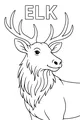 Free Elk Coloring Page - Big Antlers Portrait With Label (Printable PDF)