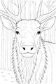 Free Elk Coloring Page - Big Antlers in Quiet Winter Woods (Printable PDF)