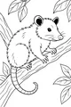 Free Opossum Coloring Page - Ollie on a Leafy Tree Branch (Printable PDF)