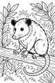 Free Opossum Coloring Page - Cute Percy on a Tree Branch (Printable PDF)