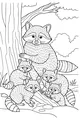 Free Raccoon Coloring Page - Mother Raccoon With Four Babies in Forest Shade (Printable PDF)