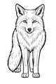 Free Fox Coloring Page - Fluffy Forest Fox Facing Forward (Printable PDF)