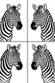 Free Zebra Coloring Page - Four Stripy Portraits in Grid (Printable PDF)