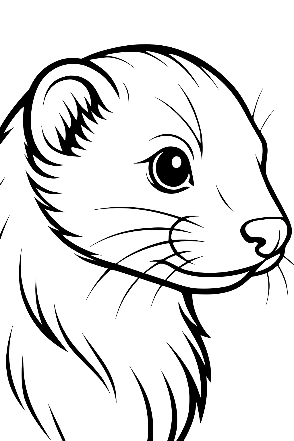 Outlined drawing of a ferret’s head with round eye, small ear, whiskers, and thick, wavy fur details.