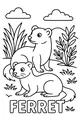 Free Ferret Coloring Page - Two Friends in a Sunny Meadow (Printable PDF)