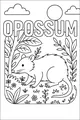 Free Opossum Coloring Page - Walking in Tall Grass and Flowers (Printable PDF)