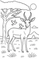 Free Gazelle Coloring Page - Gazelle With Birds In Sunny Savanna (Printable PDF)