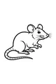 Free Rat Coloring Page - Cute Cartoon Rat With Curled Tail (Printable PDF)
