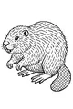 Free Beaver Coloring Page - Fluffy Riverbank Friend (Printable PDF)