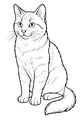 Free Cat Coloring Page - Fluffy House Cat Sitting Upright (Printable PDF)