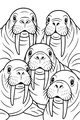 Free Walrus Coloring Page - Five Silly Walrus Faces Huddled Together (Printable PDF)