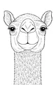 Free Camel Coloring Page - Friendly Camel Face Close-Up (Printable PDF)
