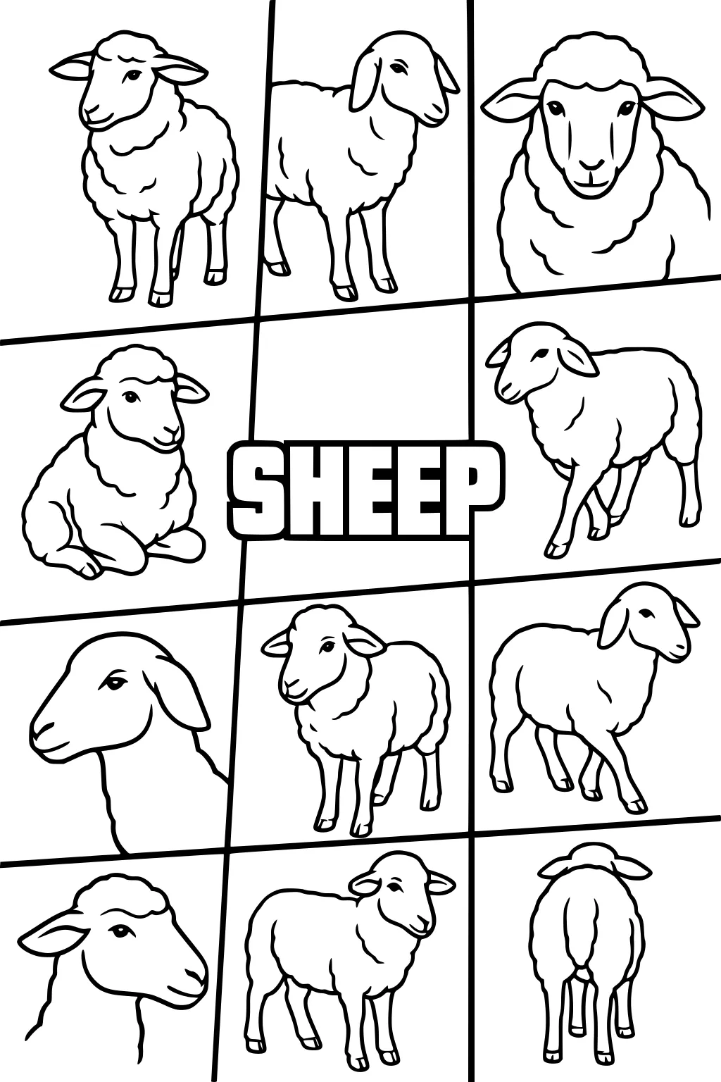 Twelve sheep in separate boxes, each with a different pose, and a bold SHEEP title in the middle.