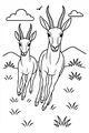 Free Gazelle Coloring Page - Leaping Gazelles in Sunny Grassland (Printable PDF)