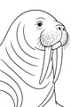 Free Walrus Coloring Page - Side View With Long Tusks (Printable PDF)