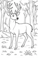 Free Deer Coloring Page - Gentle Buck in Forest Clearing (Printable PDF)