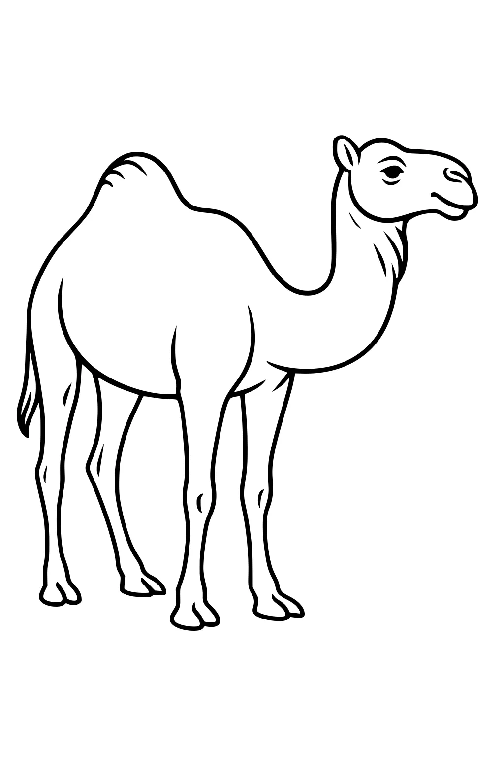 Simple outlined drawing of a standing, one-hump camel facing right with long legs and a gentle expression.