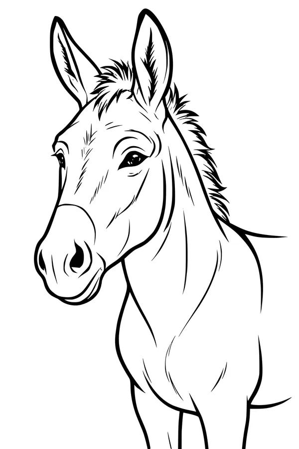 Free Donkey Coloring Page - Friendly Donkey With Fluffy Ears (Printable PDF)
