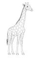 Free Giraffe Coloring Page - Tall Spotted Friend Standing Upright (Printable PDF)