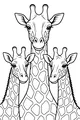 Free Giraffe Coloring Page - Three Friendly Giraffes in a Row (Printable PDF)