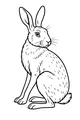 Free Hare Coloring Page - Sitting Hare With Big Upright Ears (Printable PDF)