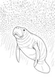 Free Manatee Coloring Page - Gentle Sea Cow Underwater (Printable PDF)