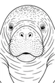 Free Manatee Coloring Page - Cute Big Nose Face Close-Up (Printable PDF)