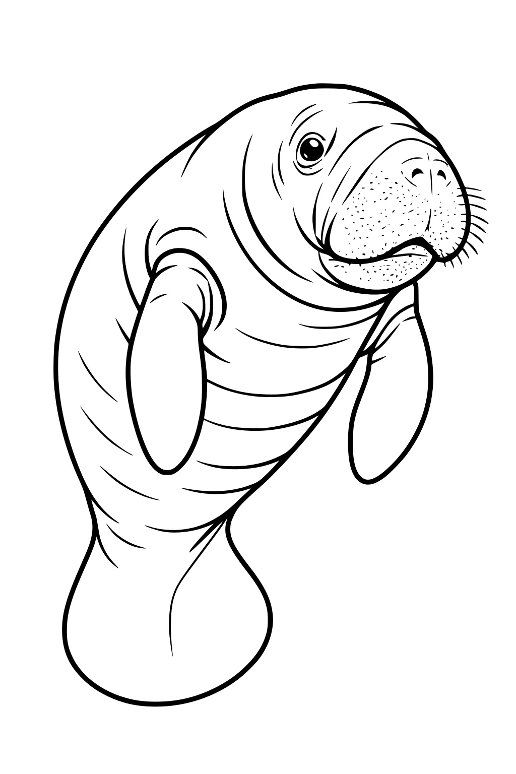 Manatee with two flippers and wrinkled skin floating upright, seen from the front, with whiskers on its nose.