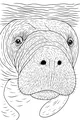 Free Manatee Coloring Page - Gentle Face at the Water's Edge (Printable PDF)