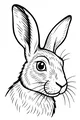 Free Hare Coloring Page - Realistic Big-Eared Profile (Printable PDF)