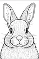 Free Rabbit Coloring Page - Cute Bunny Face Portrait (Printable PDF)