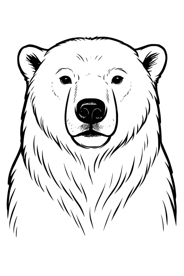 Free Polar Bear Coloring Page - Cute Arctic Bear Face (Printable PDF)