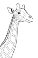 Free Giraffe Coloring Page - Detailed Head And Long Spotty Neck (Printable PDF)