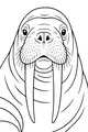 Free Walrus Coloring Page - Wise Old Face With Long Tusks (Printable PDF)