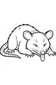 Free Opossum Coloring Page - Silly Sleepy Cartoon Opossum (Printable PDF)