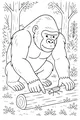 Free Gorilla Coloring Page - Curious Ape Meets Forest Beetle (Printable PDF)