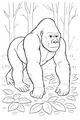 Free Gorilla Coloring Page - Giant Ape in Leafy Forest (Printable PDF)