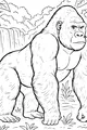 Free Gorilla Coloring Page - Jungle King by the Waterfall (Printable PDF)