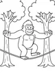 Free Gorilla Coloring Page - Balancing On A Jungle Vine (Printable PDF)